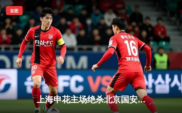 上海申花主场绝杀北京国安，积分榜紧追领头羊